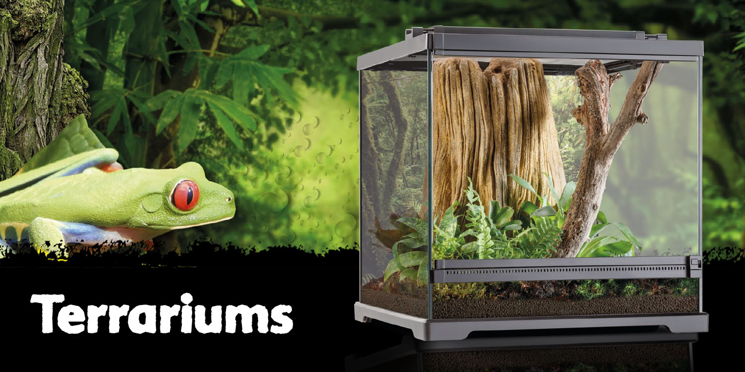 Elevate Your Reptile's Habitat