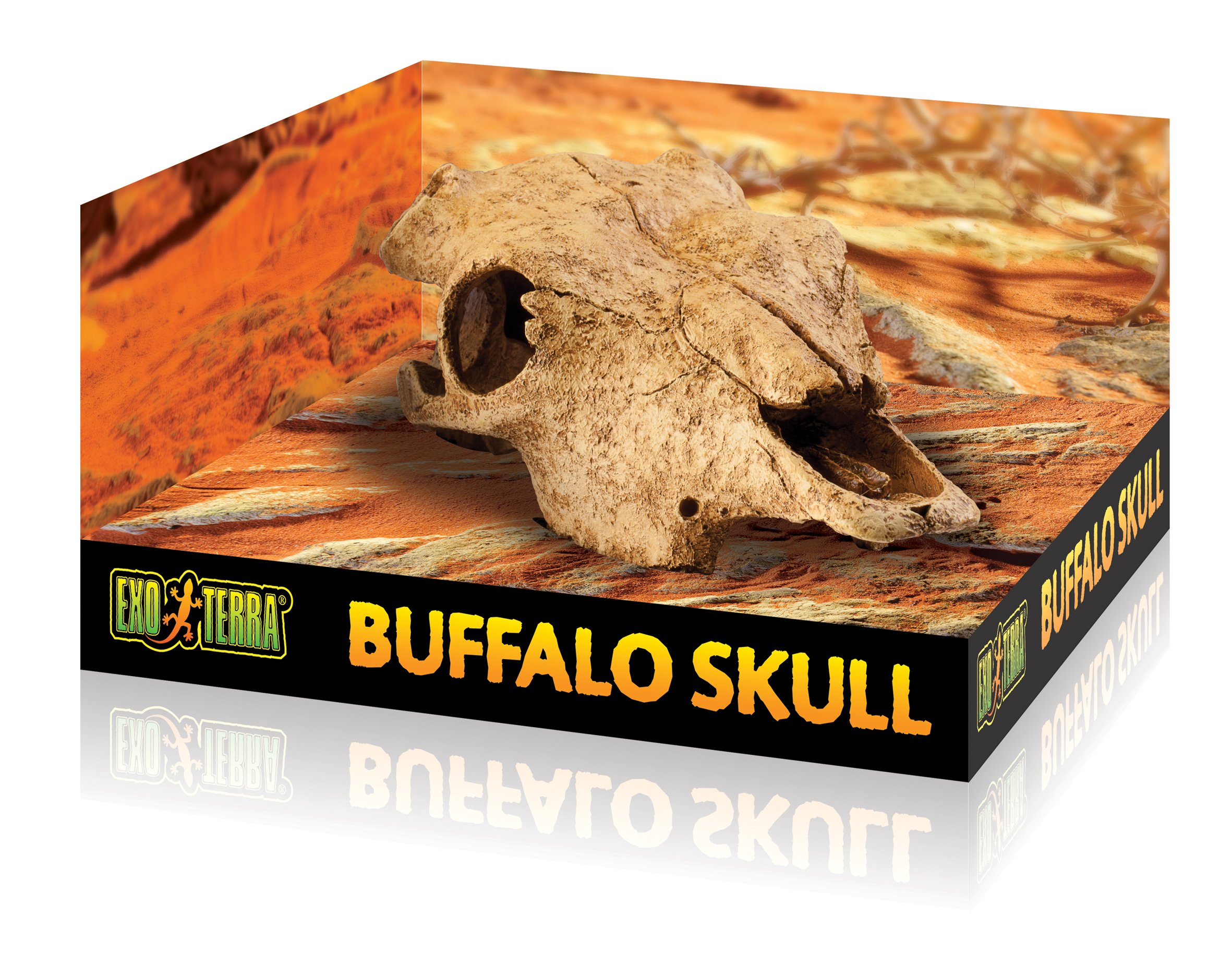 Exo Terra Buffalo Skull Terrarium D - Image 4