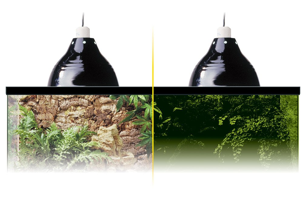 Exo Terra Reptile Dome Light Fixture - 8-1/2-Inch Porcelain Clamp Lamp for Deep Heat and Light, Perfect for Reptile Terrarium - Image 3