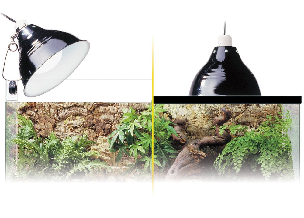 Exo Terra Reptile Dome Light Fixture - 8-1/2-Inch Porcelain Clamp Lamp for Deep Heat and Light, Perfect for Reptile Terrarium - Image 4