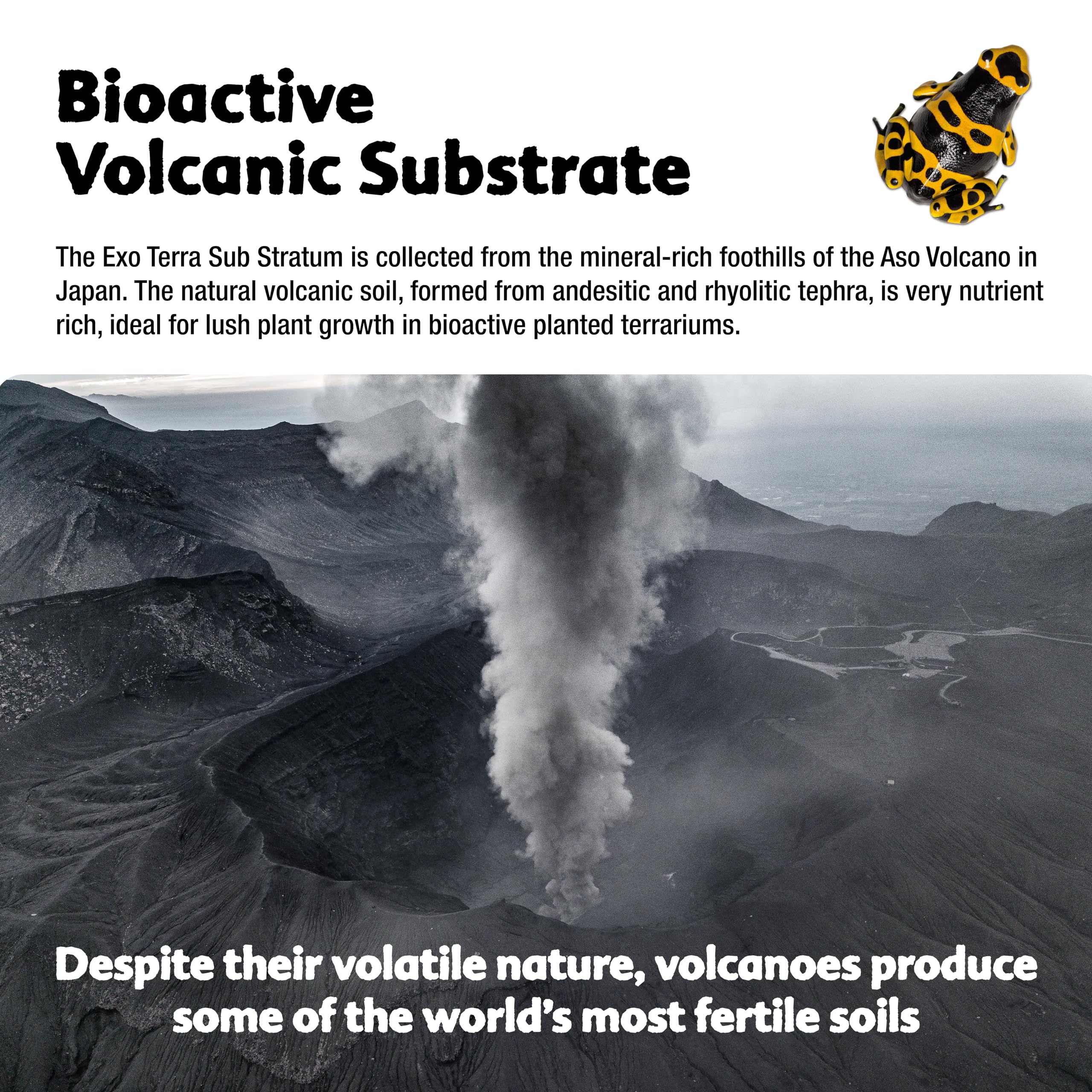 Exo Terra Sub Stratum, Bioactive Volcanic Substrate for Reptile Terrariums, Eliminates Odor, Offers Correct Moisture Levels 8.8 lb - Image 3